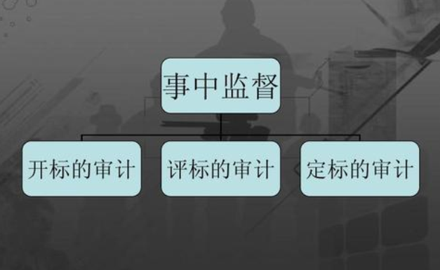 招投標(biāo)審計